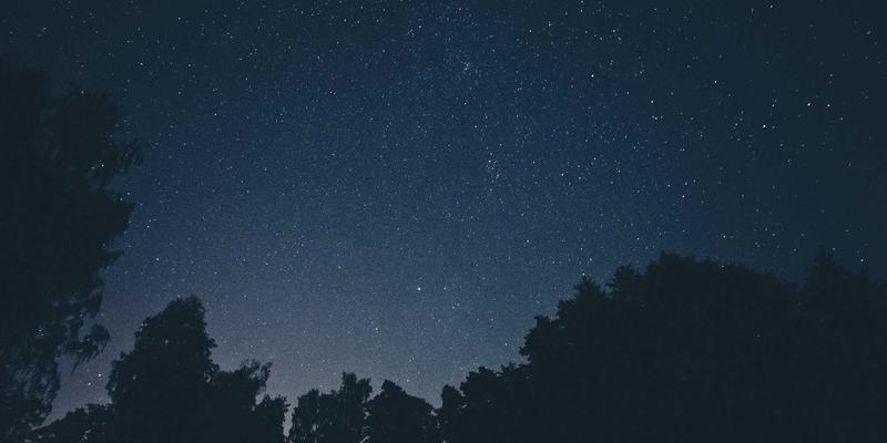 厨房垃圾零废弃实践：从分类到堆肥，4步打造家庭生态循环系统