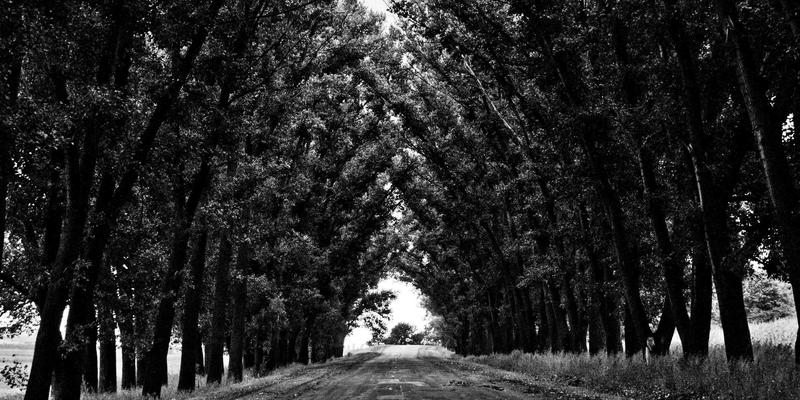 家庭烘焙新手指南：从零打造高效厨房，开启你的创意烘焙之旅