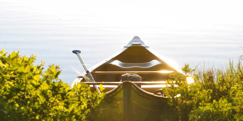 家庭用水安全与节水全攻略：从过滤方案选择到DIY节水神器安装