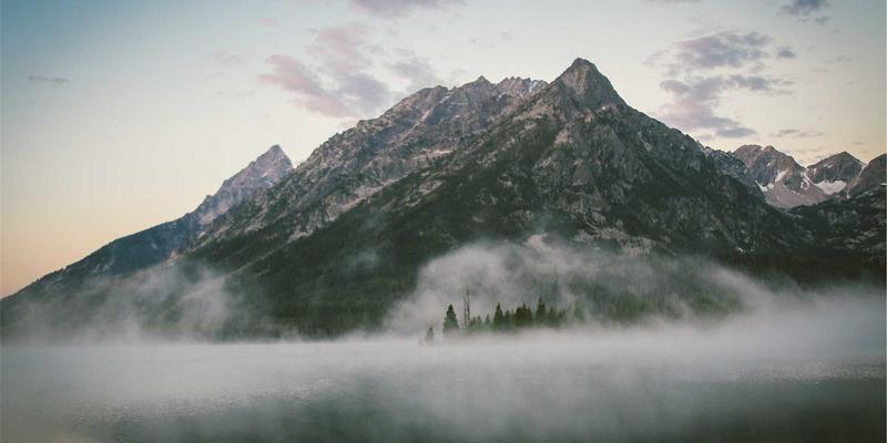 打造人宠共融的理想家:5大设计原则兼顾舒适、健康与清洁