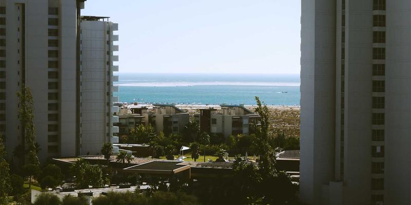 打造家庭呼吸绿洲:5种净化空气的室内植物与3个高效通风技巧